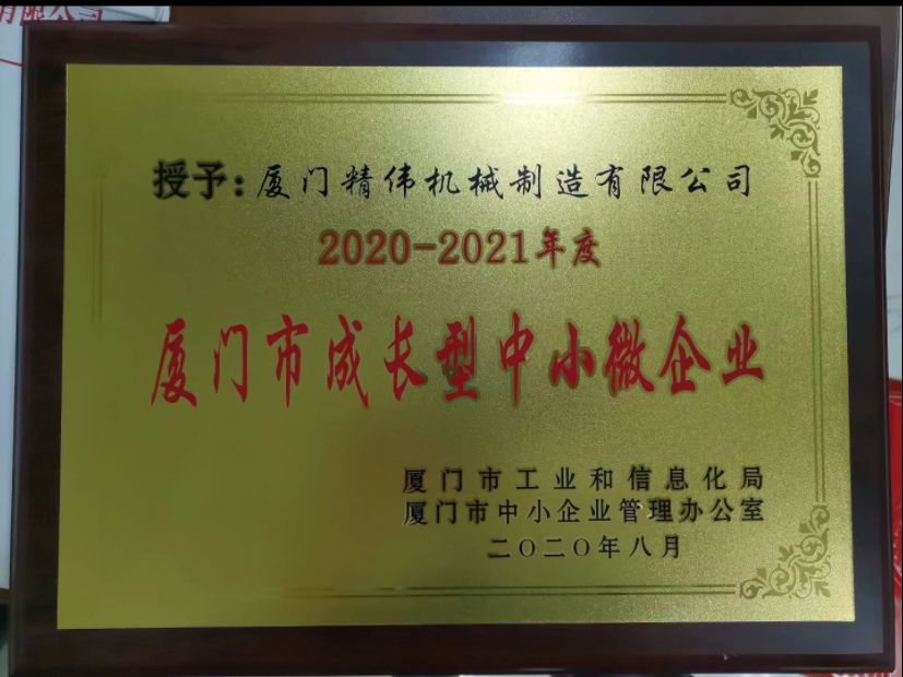 成(cheng)長型中小(xiao)微企業2020-2021